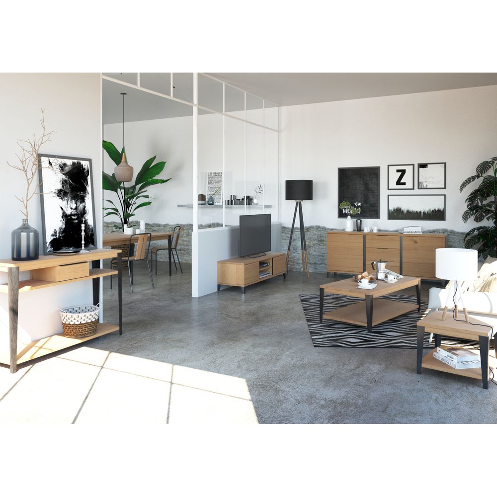 Meuble télé 2 portes, 2 niches