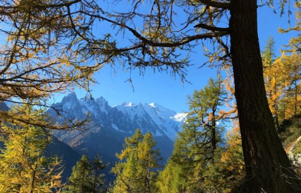 Vacances de toussaint en montagne : les activites a faire en automne
