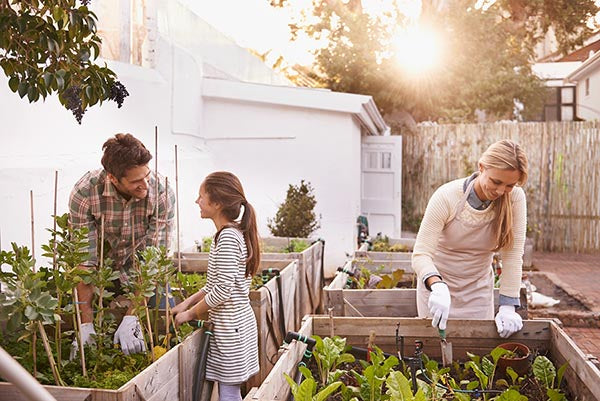 Le carré potager sur pied