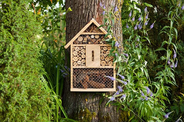 Insect house