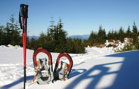 Randonnee raquette en montagne