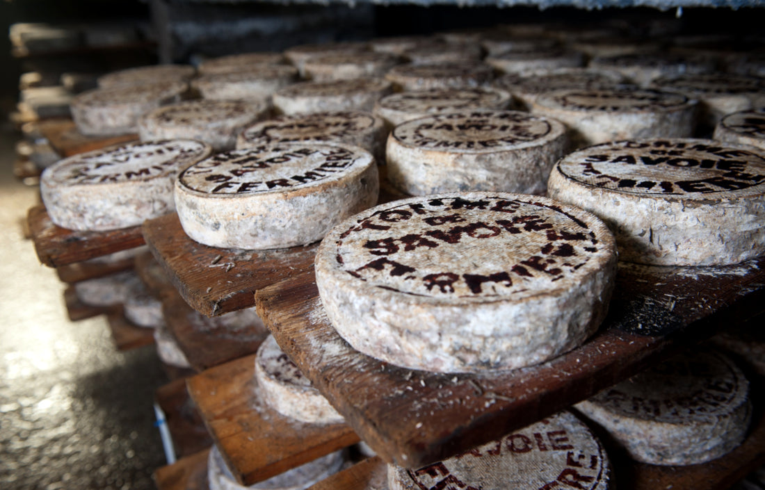 Affinage des tommes de Savoie