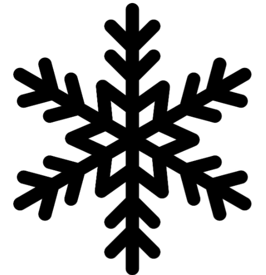 Sapin Noir | Flocon Etoile L